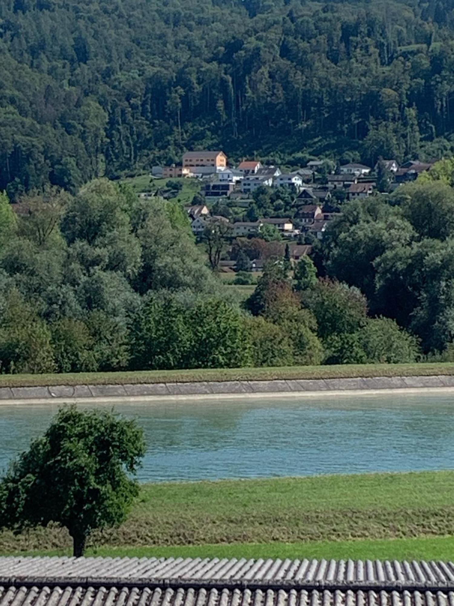 Hochrhein Ferienwohnung Albbruck Εξωτερικό φωτογραφία