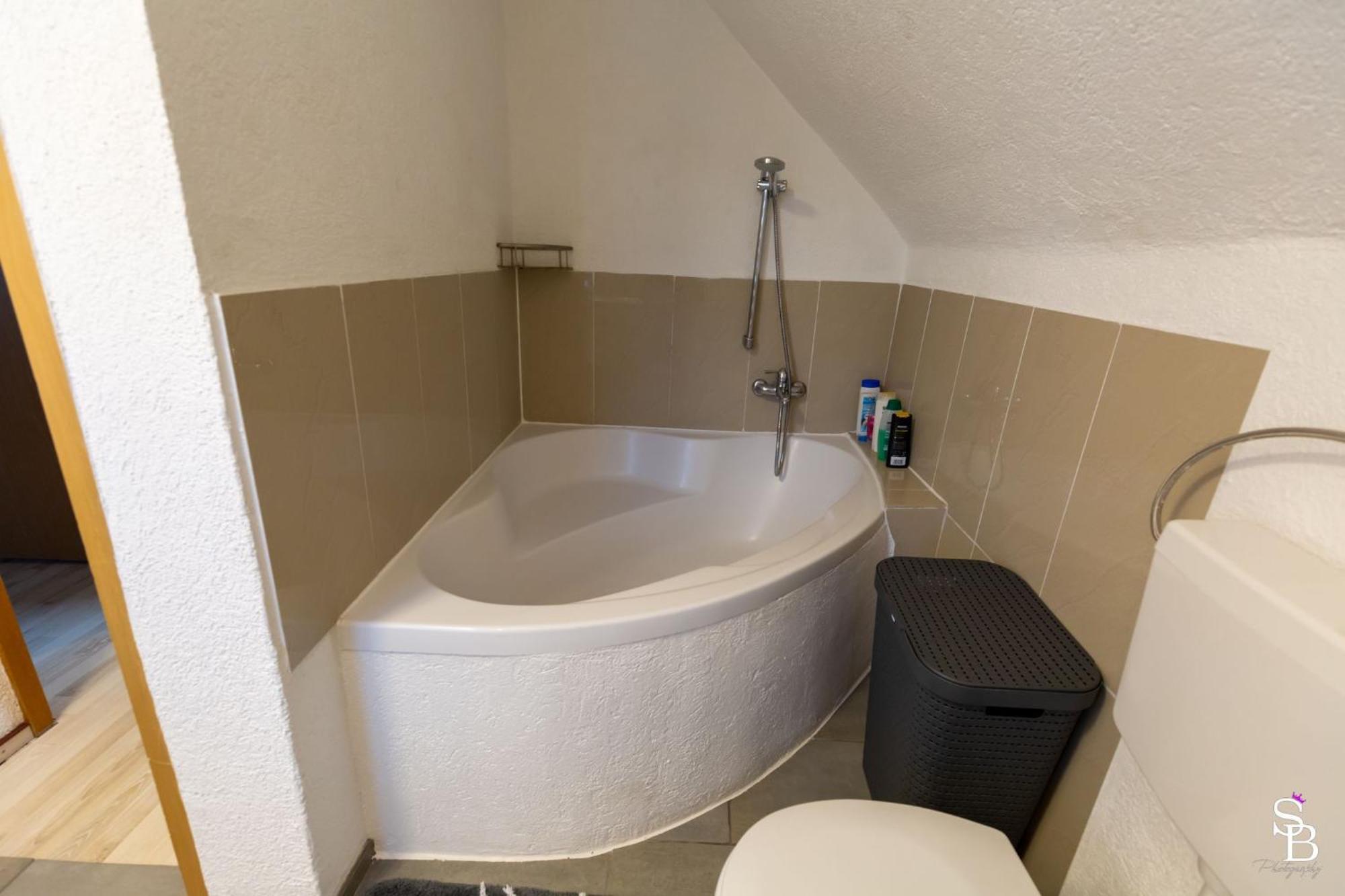 Hochrhein Ferienwohnung Albbruck Εξωτερικό φωτογραφία