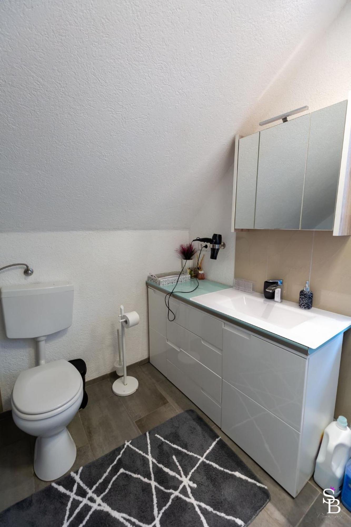 Hochrhein Ferienwohnung Albbruck Εξωτερικό φωτογραφία